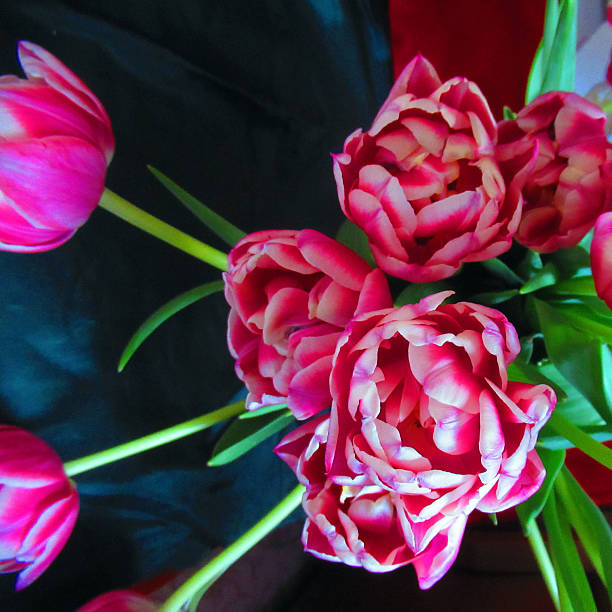 Still life - flowers on a table