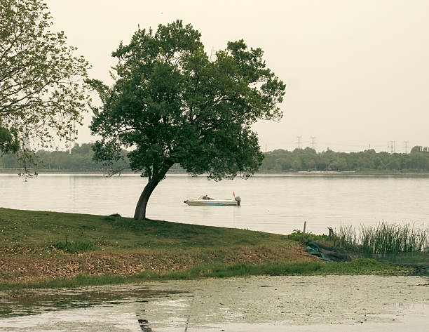 Oil landscape painting showing fishing boat on the riverbank in spring.