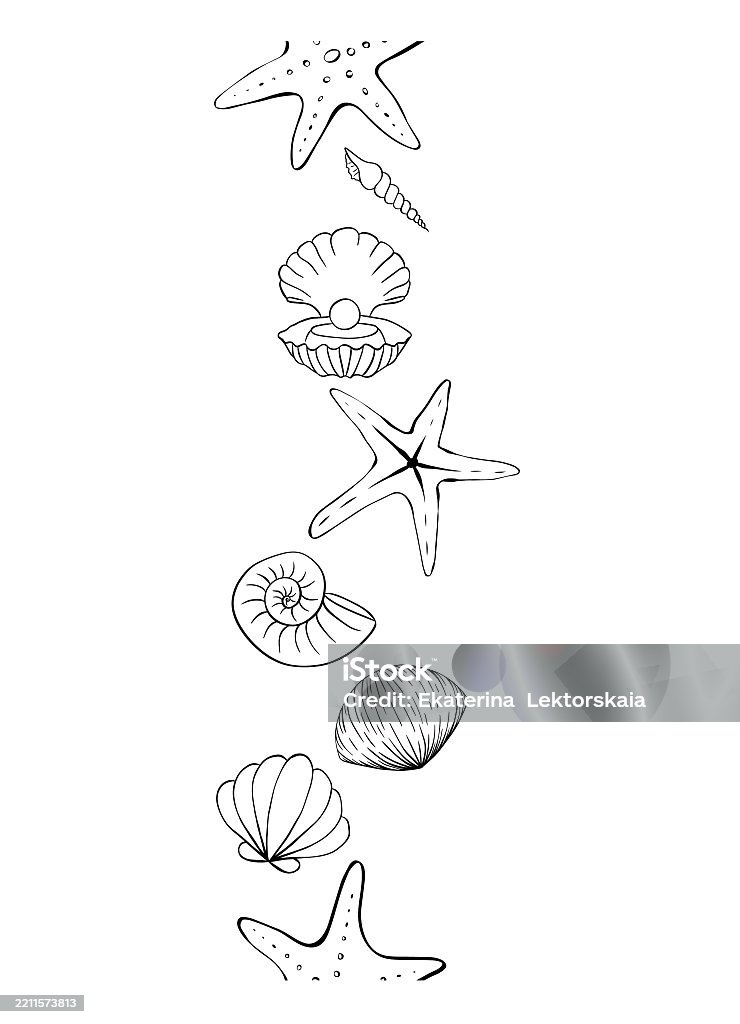 Seashell Border Vector Seashell Seamless Frame Border Vector Graphic Line Ink Vertical ...