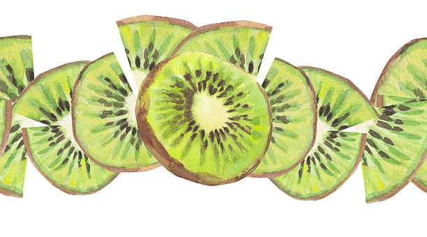 istock Watercolor kiwi fruit seamless horizontal border isolated on a white background. Flying slices, green kiwi pieces. Hand drawn pattern for greeting cards, scrapbooking, print, gift wrap, textile 2211576691