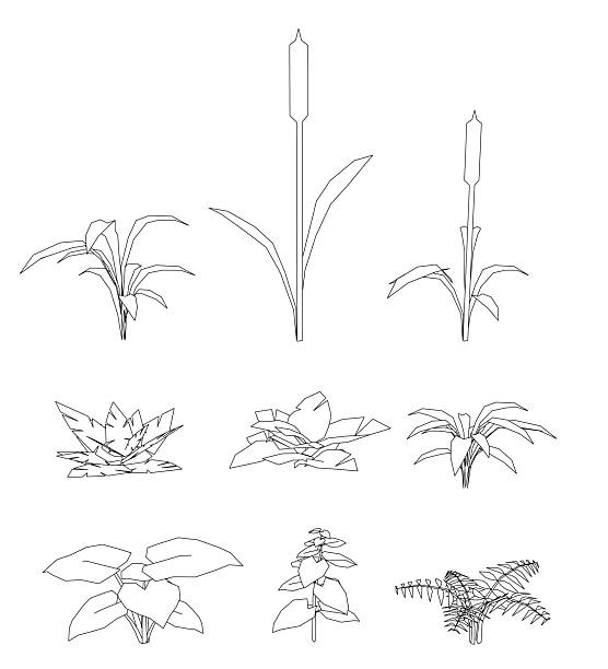 A variety of different plants, including a tall plant with a long stem and a small plant with a leafy stem. The plants are all drawn in black and white, giving the image a simple and minimalist look