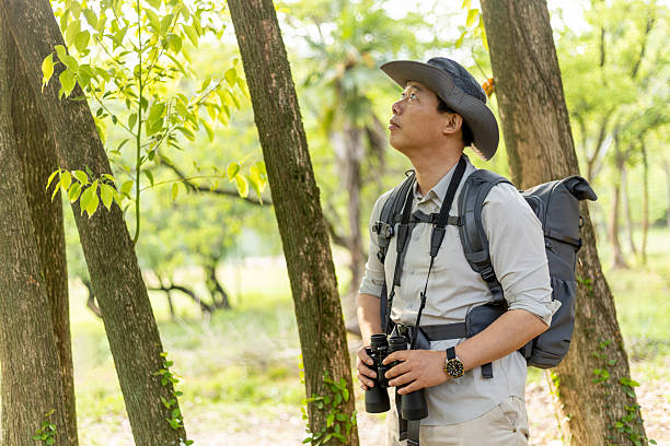istock Wildlife traveler using binoculars to observe wild animals 2211582844
