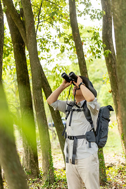 istock Wildlife traveler using binoculars to observe wild animals 2211582902