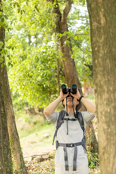 istock Wildlife traveler using binoculars to observe wild animals 2211582923
