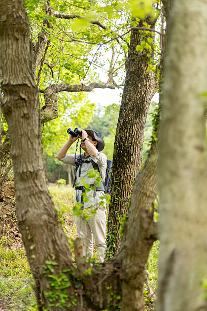 istock Wildlife traveler using binoculars to observe wild animals 2211582991