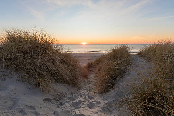 istock Sunset view from the dunes at Danish North Sea cost 2211588390