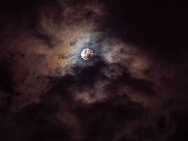 Night sky with  dark purple hues and clouds with glowing ringed moon. Row of pine trees can be seen in silhouette. Taken in Northern Wisconsin.