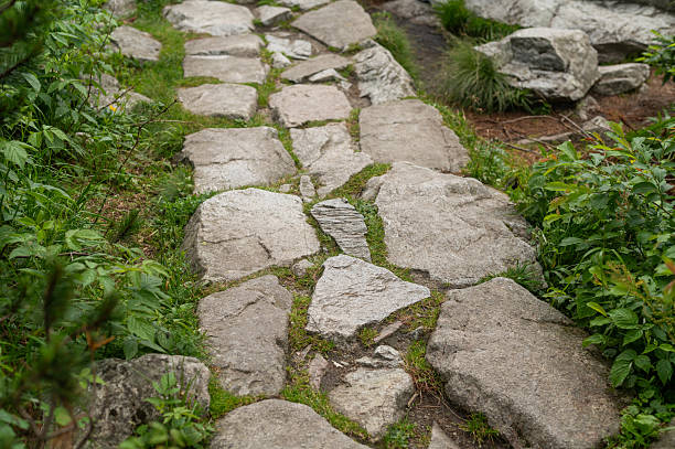 istock a path lined with large stones of different shapes 2211594714