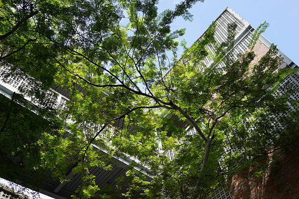 istock Modern Building with Green Canopy for Sustainable Urban Environment 2211594962
