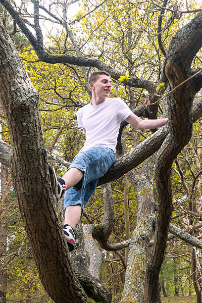 istock Teenage boy in a tree 2211596052