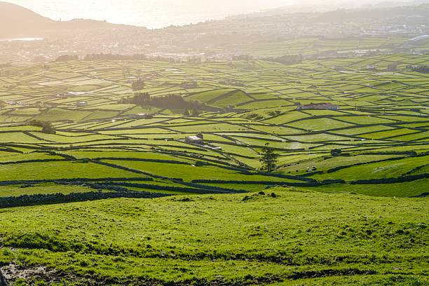 istock Golden Hour Illuminates Mesmerizing Patchwork of Stone-Walled Pastures in Verdant Valley Landscape. Aerial View of Traditional Agricultural Fields in Terceira Island with Coastal Town in Background, Azores Archipelago 2211596056