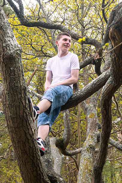 istock Teenage boy in a tree 2211596101