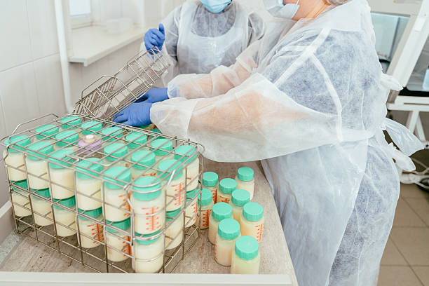 istock Two lab workers in protective wear handling donor breast milk containers and organizing them into metal baskets for further processing in milk bank environment. 2211596144