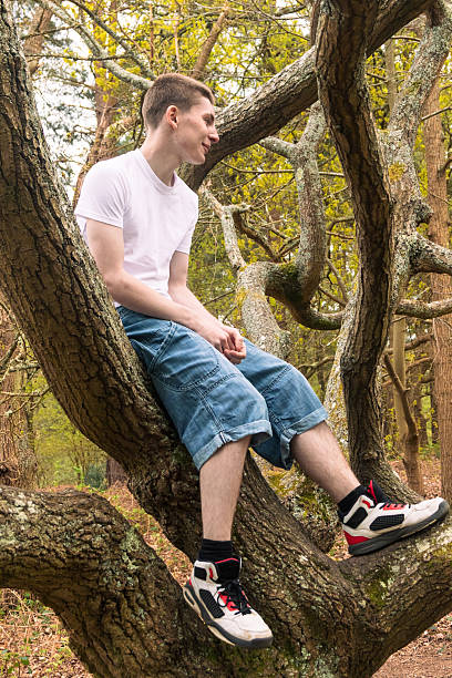 istock Teenage boy in a tree 2211596240