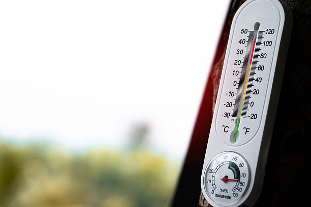 istock Monitoring temperature changes in nature outdoor thermometer on tree environmental observation warm season close-up view 2211598436