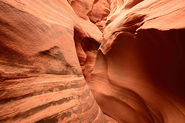 istock Rattlesnake Slot Canyon Arizona 2211600850