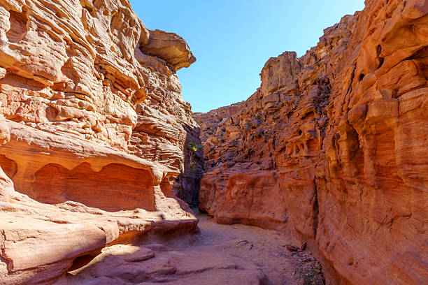 istock A narrow canyon with a rocky wall and a small tree growing in it 2211604569