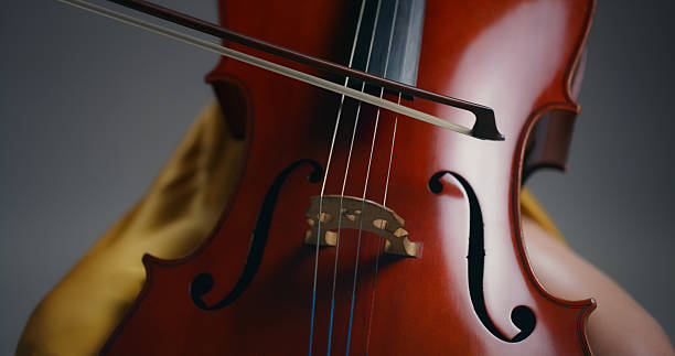 istock Closeup, talent and person in studio, violin or practice for performance on gray background. Training, entertainment or musician with string instrument, artistic or learning with creative development 2211609388