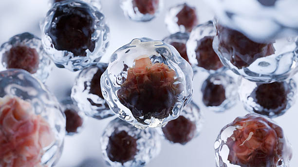 istock Human cells death, Embryonic stem cell, metastasis Growing tumor, Leukemia spreading,malignant cancerous, viruses and bacteria, abnormal white blood cells (Lymphocytes), malignant cancer, 3d render 2211609744