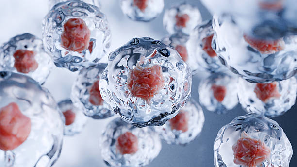 istock Human cells floating, Embryonic stem cell, Cellular therapy and Regeneration, Disease treatment, eosinophile, organic molecular structure, cancer and Virus, microscopic of Human cells, 3d render 2211610606