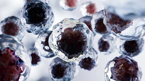 istock Human cells death, Embryonic stem cell, metastasis Growing tumor, Leukemia spreading,malignant cancerous, viruses and bacteria, abnormal white blood cells (Lymphocytes), malignant cancer, 3d render 2211610742