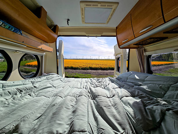 istock Springtime adventure in an RV overlooking vibrant tulip fields in Flevoland, Netherlands 2211611989