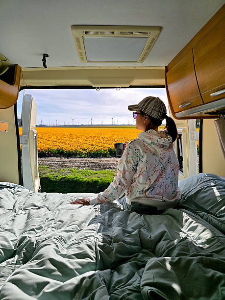 Tulip fields of Flevoland create a vibrant spring backdrop for relaxation in a camper van