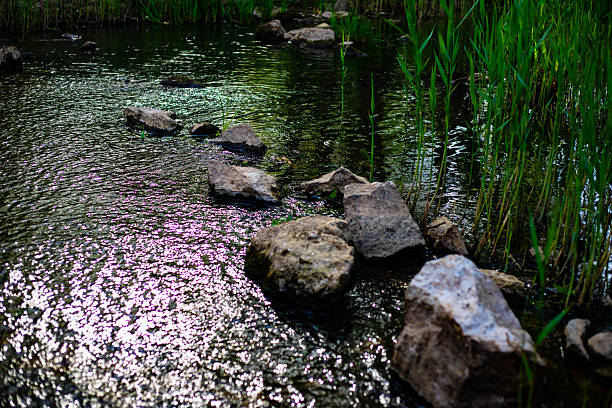 istock Sunlit River Landscape Stock Photo 2211612563