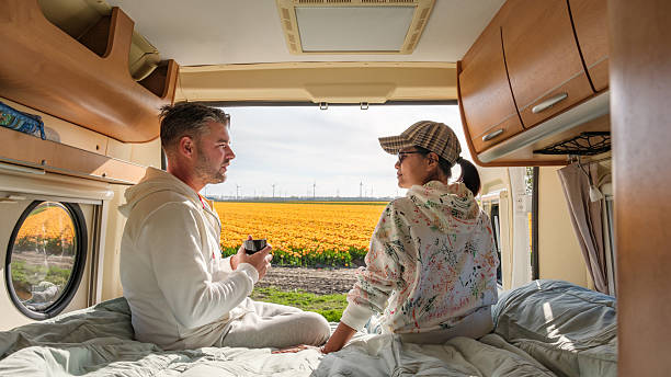 istock Enjoying springtime tulip fields in Flevoland, Netherlands from a cozy camper van 2211613406