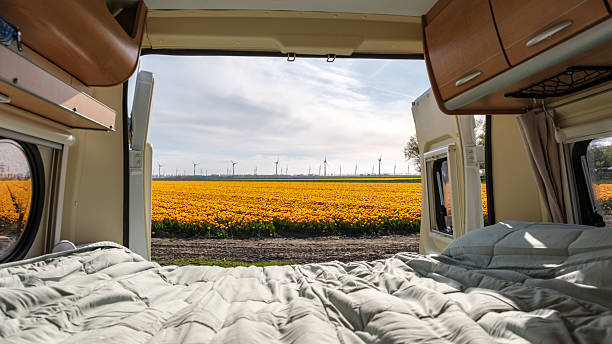 istock Springtime adventure in Flevoland with vibrant tulip fields and a cozy camper van view 2211613409