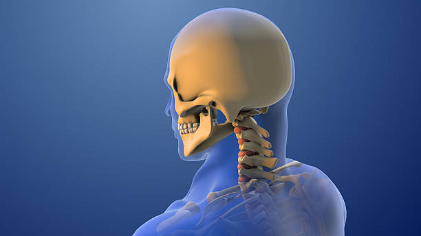 istock Neck Injury from Sudden Whiplash Motion 2211615064