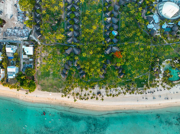 istock Beach resort lined with palm trees from above 2211618475