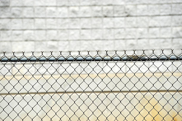 iron chain link fence in front of the wall