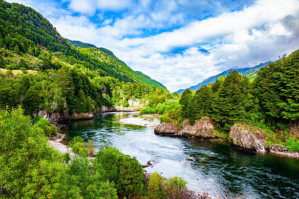 Chile. Turbulent stream Travel to Chile. Turbulent stream with rocky bottom. Picturesque surroundings of the famous road Carretera Austral. The Andes on the horizon are covered by clouds. carretera austral chile stock pictures, royalty-free photos & images