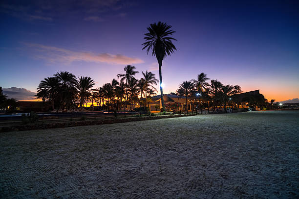 Morning on a tropical beach with palm trees and a beautiful blue-pink sky. Coche, Venezuela.