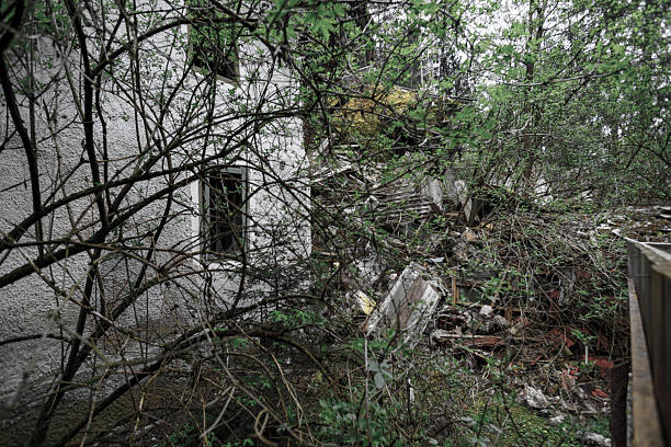 istock Demolished Building with Debris and Overgrown Vegetation 2211631479