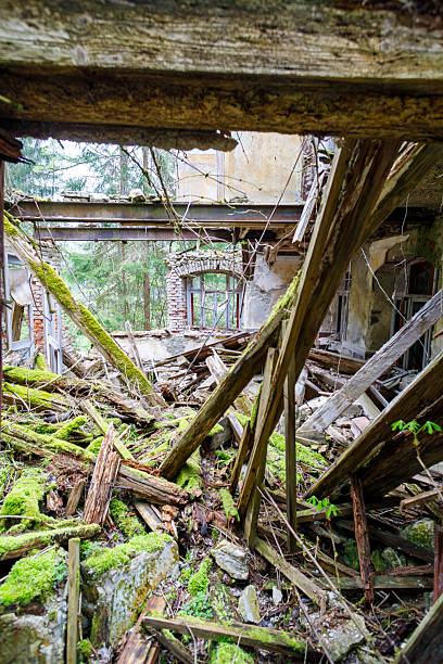 istock Derelict Building Interior with Debris and Moss 2211631583