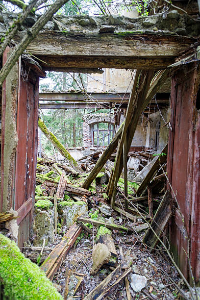 istock Collapsed Building Interior with Moss and Rubble, View Through Doorway 2211632125
