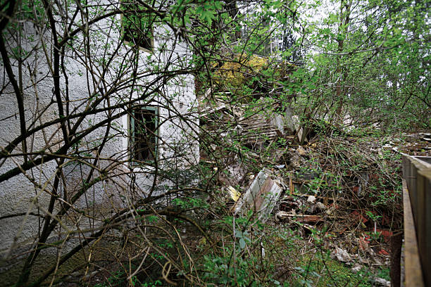 istock Dilapidated Building Side and Debris Pile Obscured by Trees 2211632172