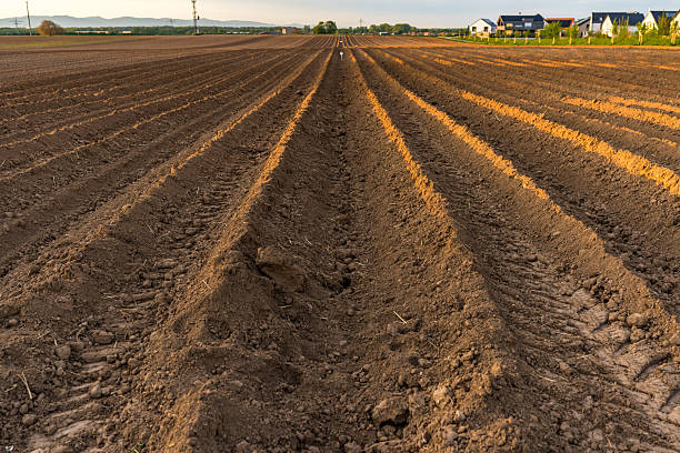 Close-up view of furrows with visible soil texture, emphasizing the freshly prepared land ready for planting.