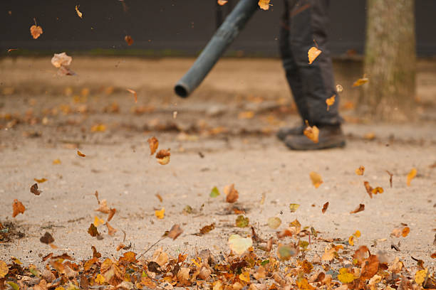 istock A man cleaning the park with a leaf blower 2211633573
