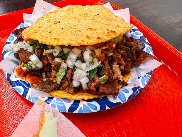 Mexican Carne Asada Mulita \