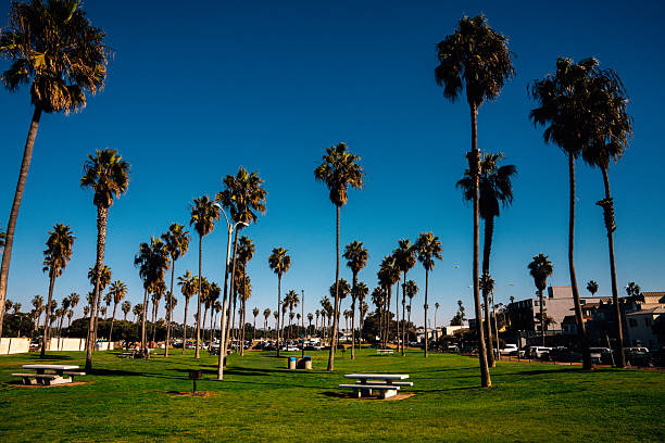 istock Mission Beach Park on a Sunny Day 2211635869