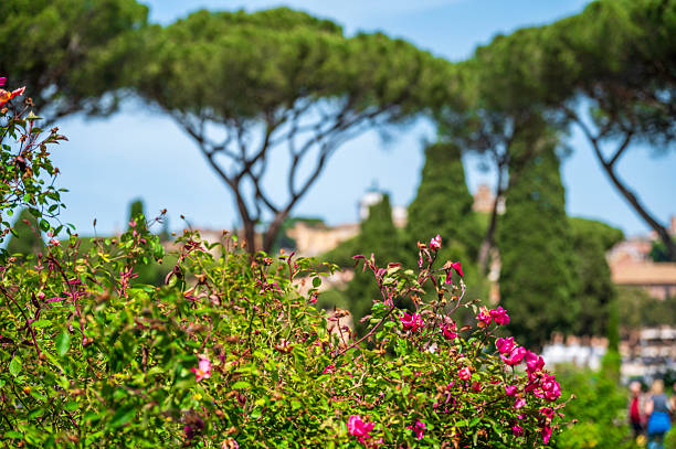 istock Rome Municipal Rose Garden in Spring 2211636324