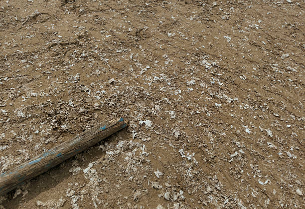 istock Polluted Soil Surface with Litter and Waste Showing Environmental Damage and Land Preparation Challenges 2211637448