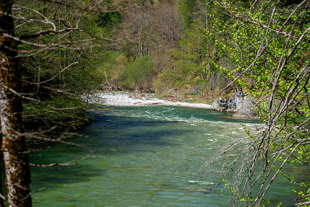 istock A mountain river among a dense forest among the Austrian Alps on a sunny day 2211641019