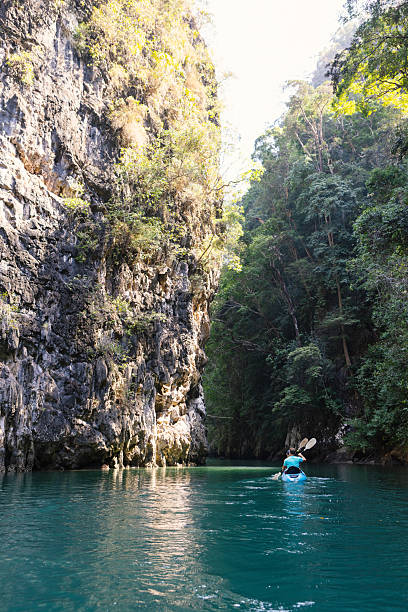 istock Kayaking through a protected mangrove habitat 2211645640