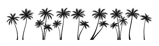 Vector Illustration of Silhouetted Palm Trees Arranged in a Row with Elegant and Minimal Design Ideal for Tropical Backgrounds and Decorative Purposes.