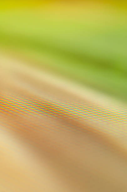 Soft gradients of green and yellow blend together, conveying tranquility and warmth.