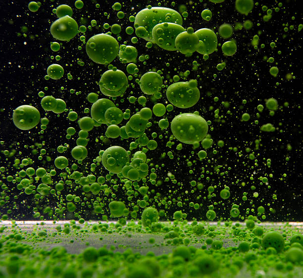 Bright green bubbles and droplets float against a dark background, creating an enchanting underwater visual. The vibrant colors and shapes evoke a sense of motion and life in a surreal environment.